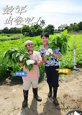 周末不打烊综艺在线观看